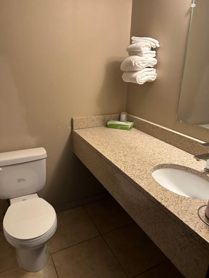 Cedar Inn Ллойдминстер Экстерьер фото